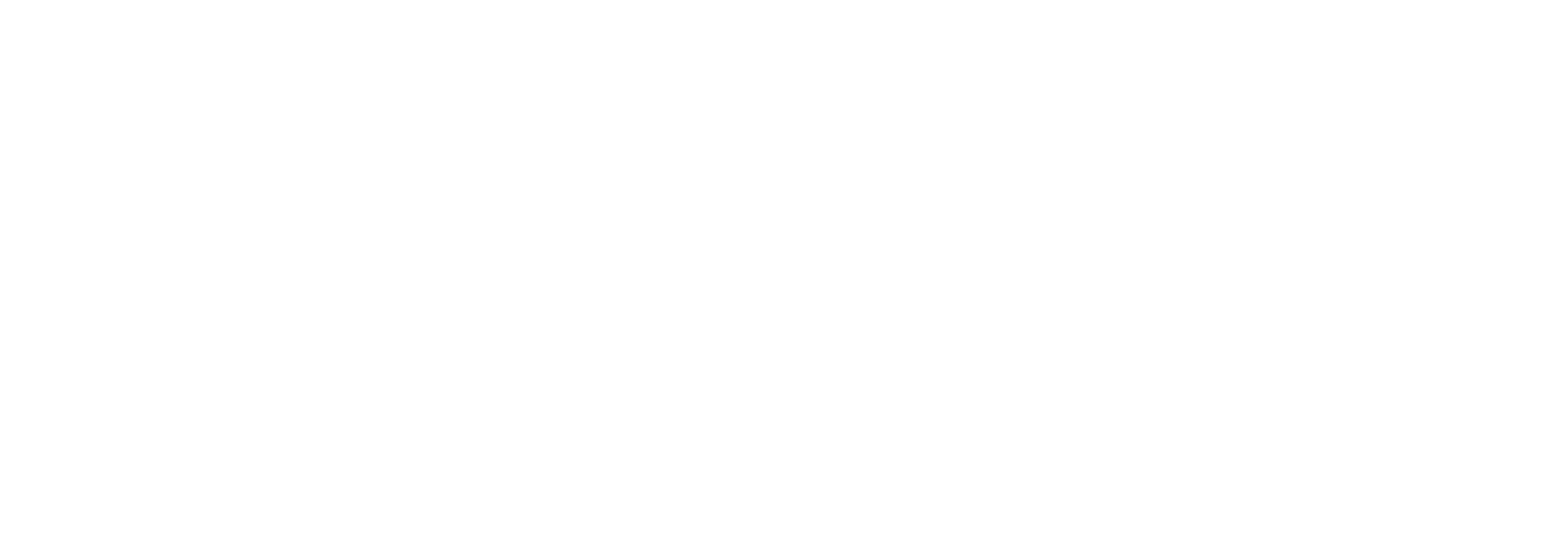 vitruvius logo white